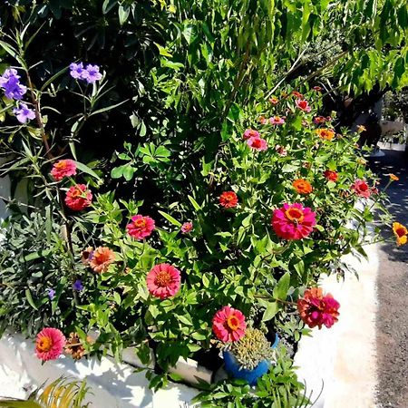 Glyfada  Glyfada'S Family Apartment מראה חיצוני תמונה