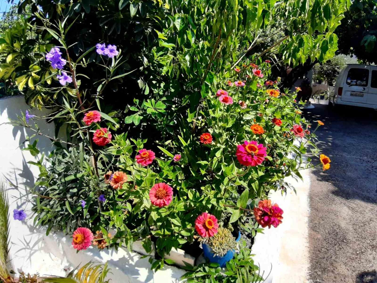Glyfada  Glyfada'S Family Apartment מראה חיצוני תמונה