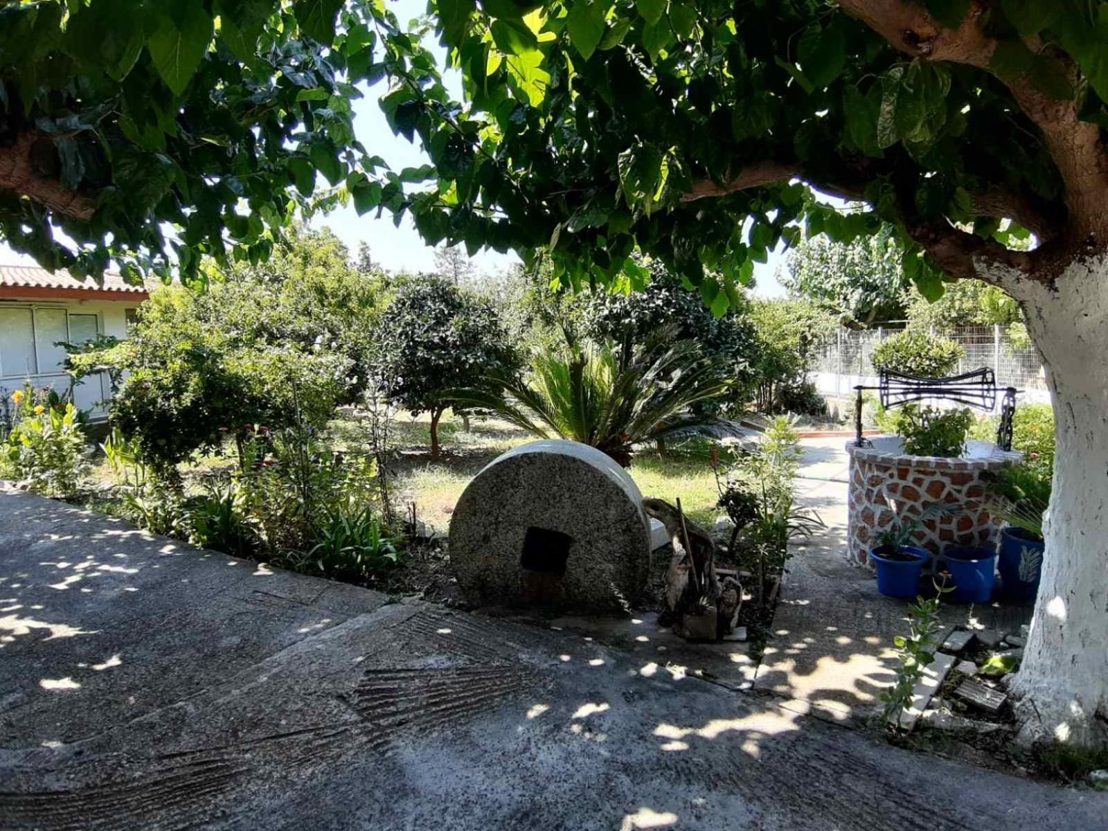 Glyfada  Glyfada'S Family Apartment מראה חיצוני תמונה